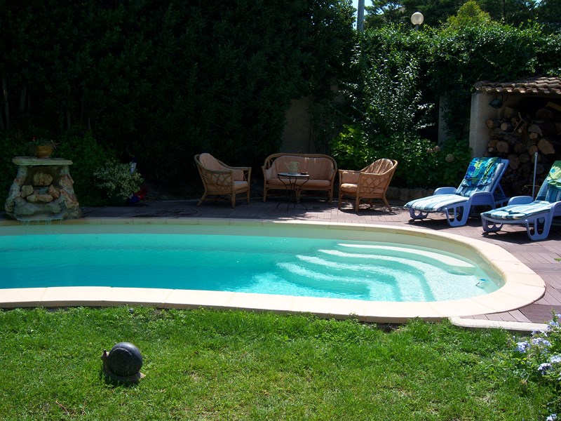 Piscine haricot 7.80 mètres